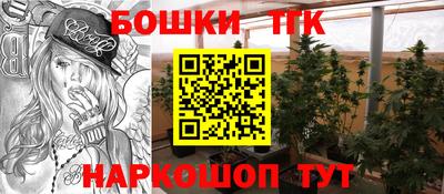 стафф Брянск
