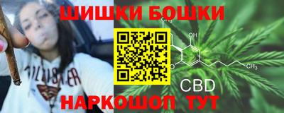 гашик Белореченск