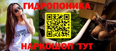 стафф Брянск