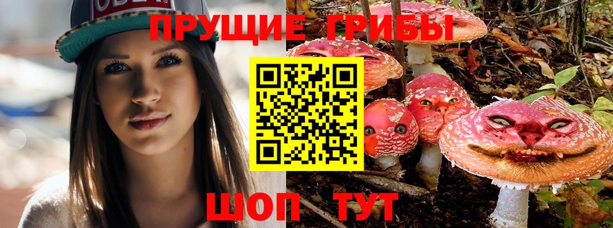 Галлюциногенные грибы мицелий Протвино