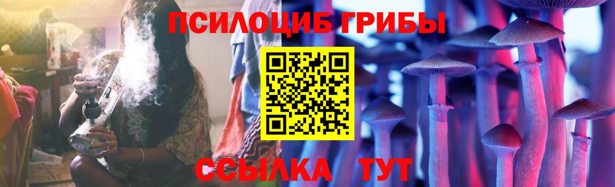 где купить   Псилоцибиновые грибы Psilocybine cubensis  Вход с VPN  Протвино 